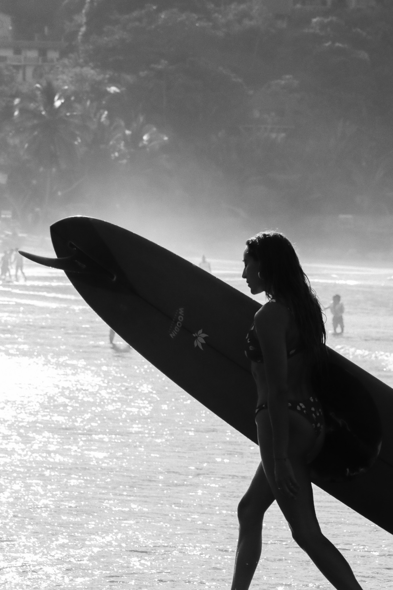 Board, Morning